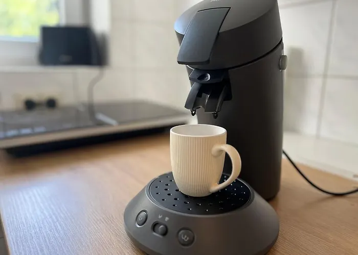 Apartman Mit Balkon Am Rhein *