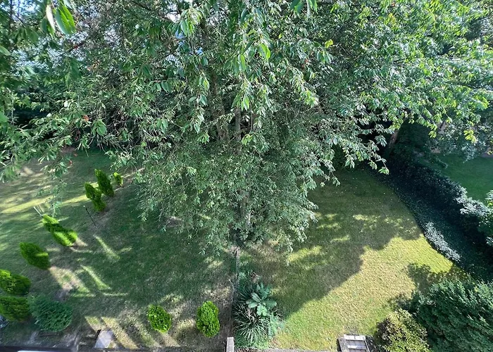 Mit Balkon Am Rhein *